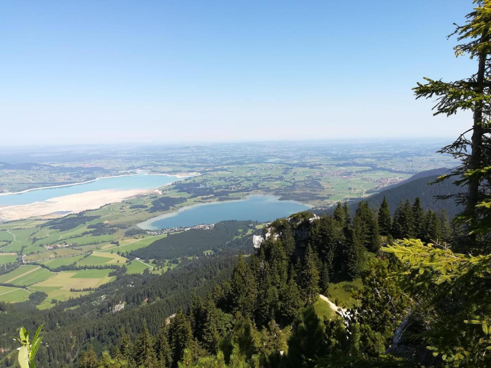 Alpenrose Appartements Nesselwang Exteriér fotografie